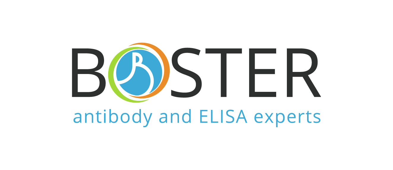 Boster Bio logo